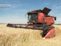 В агрофірмі "Дружба"розпочались жнива