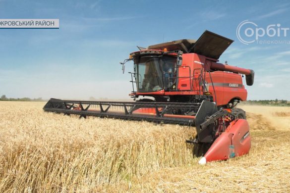 В агрофірмі "Дружба"розпочались жнива