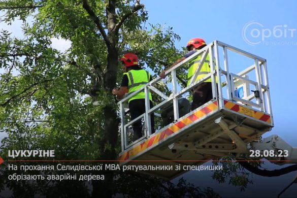 На прохання Селидівської МВА рятувальники зі спецвишки обрізають аварійні дерева