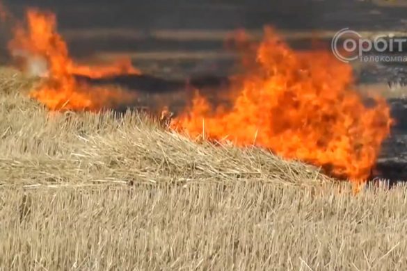 Спалена стерня – збиток природі! Рятувальники закликають до сумління громадян