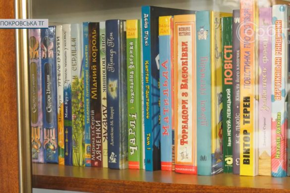 Ні на день не зачинялись з початку великої війни: бібліотекарям громади є чим пишатись