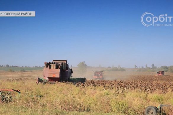 В агрофірмі «Дружба» скосили 60% полів, засіяних соняшником