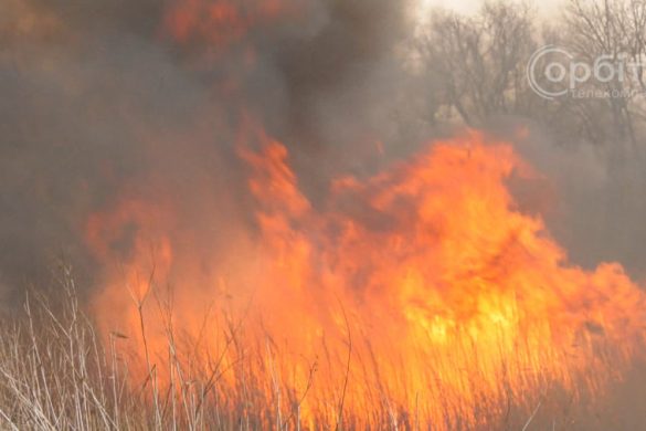 Підступне багаття: ДСНС та муніципали нагадують про заборону спалювання сухостою