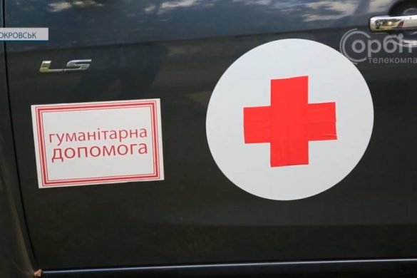 У Покровськ для стерилізації безхатніх котів приїхали волонтери з Німеччини