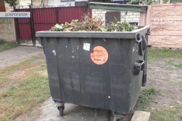 За шкоду довкіллю – штраф. У Добропіллі нагадують про заборону спалювання листя