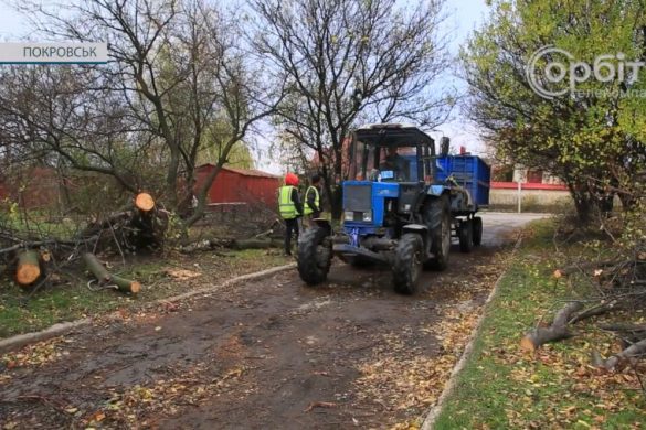 Обірвані дроти та повалені дерева. Покровська громада зазнала шкоди від негоди