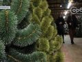 Штучні ялинки, гірлянди та яскраві кульки: яка вартість новорічних прикрас?