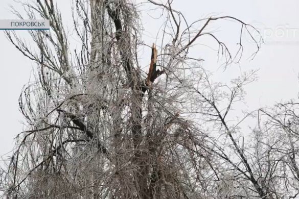 Погода і далі нас випробовує. Покровськ долає наслідки обледеніння