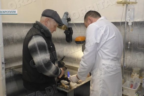 У Добропіллі ветлікарі разом з зооволонтерами проводять стерилізацію тварин-безхатченків