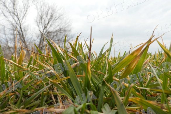 Аграрії Донеччини почали підготовку до весняно-польових робіт