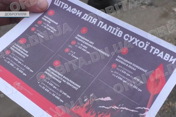 ДСНС застерігає: паління сухостою заборонено і передбачає покарання