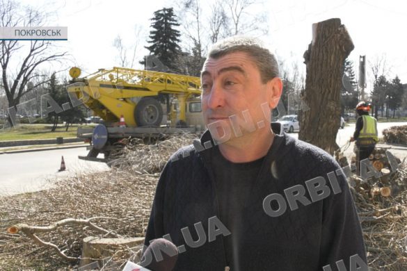 Покровські комунальники ліквідовують старі дерева і готуються чепурити газони і клумби