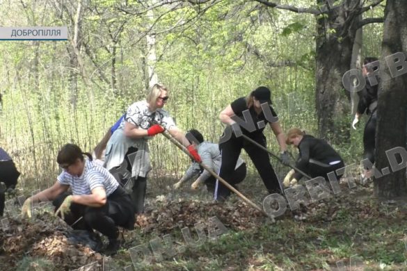 Наймасштабніша за останні роки толока. Добропільчани вийшли на велике прибирання