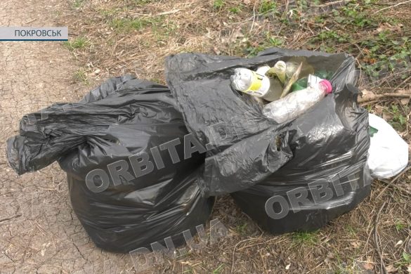 «Чиста природа – майбутнє молоді». У Покровську стартувала екологічна акція