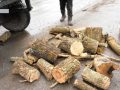 Деревина мешканцям Покровської ТГ на опалювальний період: хто отримає і за яких умов