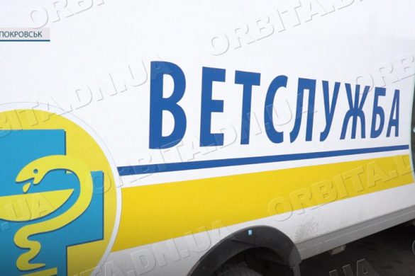 Стерилізація та вакцинація безхатніх собак. У Покровській громаді працює «Зооконтроль»