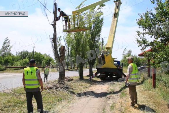 Працівники Мирноградського БОКГ обпилюють аварійні дерева