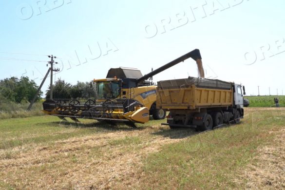 Несуть збитки не тільки через війну, але і через негоду. Про стан справ у аграріїв Донеччини