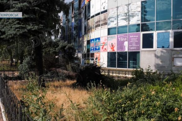 Вирвані дерева, обірвані дроти, пошкоджені покрівлі. Покровськ накрила негода