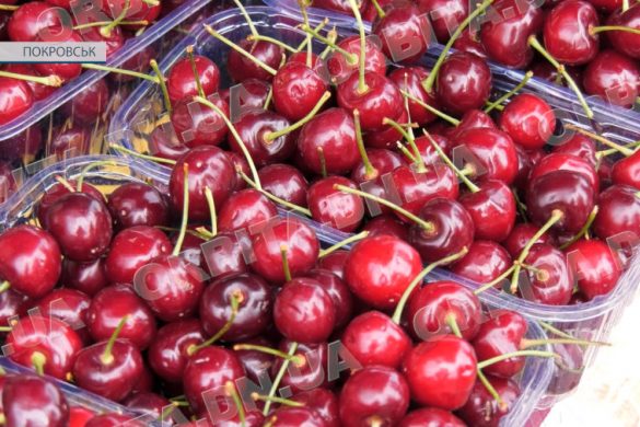 Ринок пожвавився. Покровчани активно закупаються природніми вітамінами