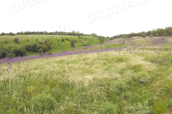 У Покровській громаді планують розвиток ландшафтного заповідника місцевого типу