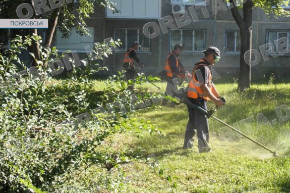 Стають до роботи о шостій ранку. Покровські косарі почали черговий етап боротьби із травою