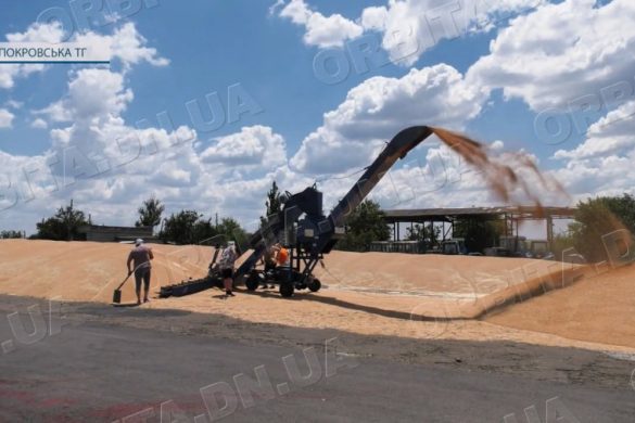 Гаряча пора стартувала: АФ «Дружба» розпочала жнива