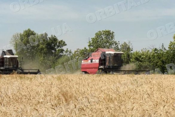 Жнива-2024: Покровська громада серед лідерів по врожайності зернових культур