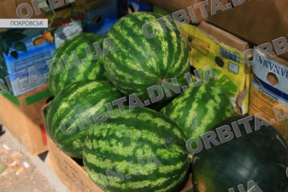 Довгоочікуваний сезон кавунів у розпалі. Скільки коштує головна ягода літа у Покровську?