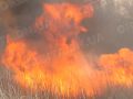 Рятувальники звітують: на Донеччині значно почастішали пожежі