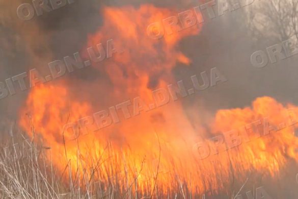 Рятувальники звітують: на Донеччині значно почастішали пожежі