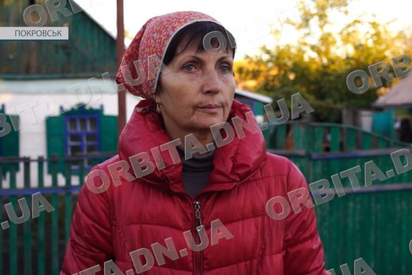 Вони самі мене знаходять. Покровчанка годує пів сотні тварин, яких покинули власники