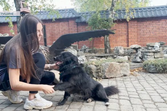 Переїзд з хатніми улюбленцями. Аліна Гук вже продумала майбутню евакуацію