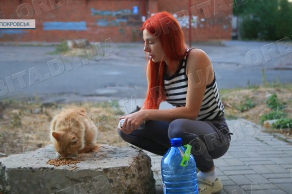 Батьки і коти: покровчанка Тетяна підготувала для евакуації найцінніше