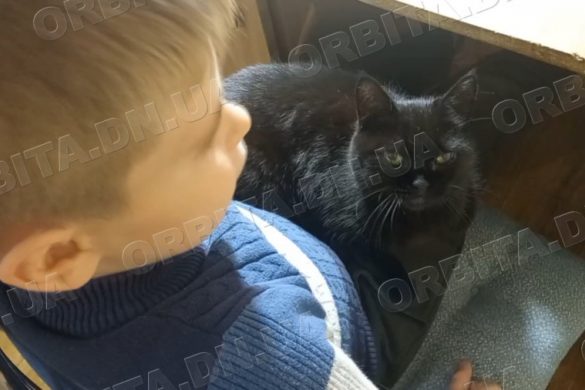 Як члени сім’ї: в останній день осені відзначаємо День домашніх тварин