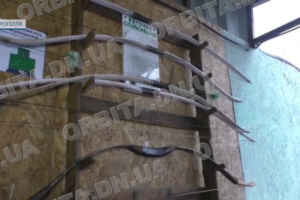 Луки та пневматична зброя. У Добропіллі  функціонує спільнота любителів спортивної стрільби