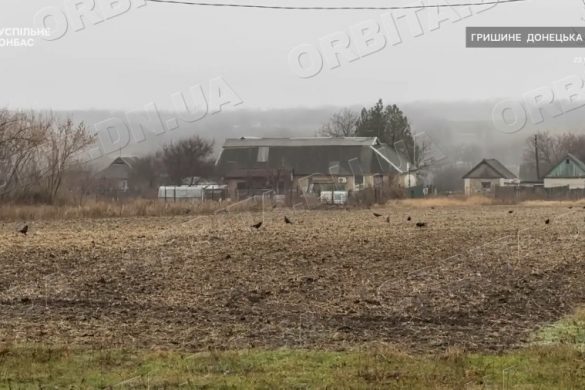 Із затишного села – у пустку. Ворог нещадно обстрілює Гришине
