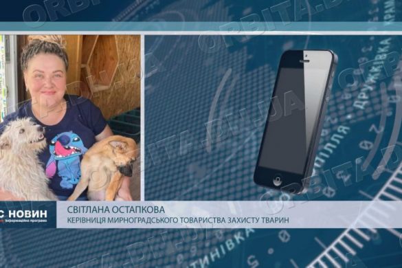 Голодні і під обстрілами: Світлана Остапкова рятує тварин у Мирнограді