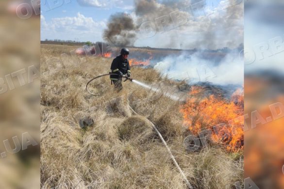 Горять і будівлі, і екосистеми: у Покровському районі часті пожежі