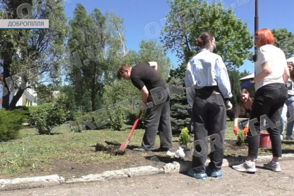 «ЕкоСенс: зцілення через творчість і природу»: проєкт психоемоційної підтримки