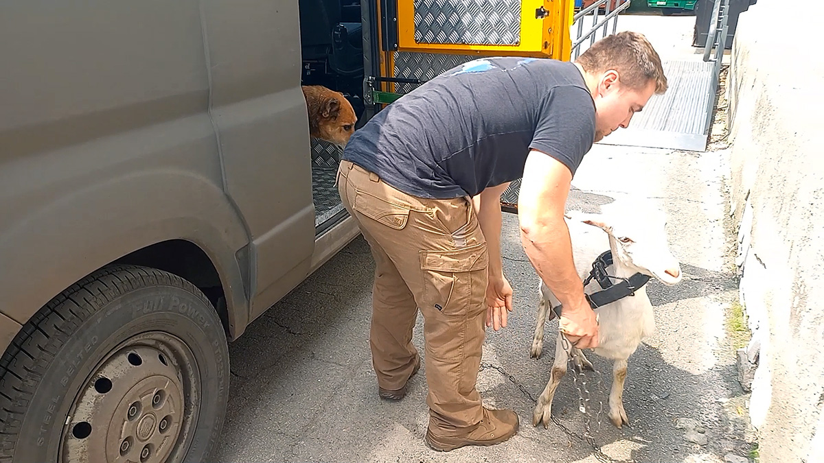 Ми не залишимо козу