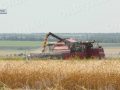 Виростити і вберегти: про правила поводження на полях під час жнив