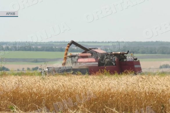 Виростити і вберегти: про правила поводження на полях під час жнив