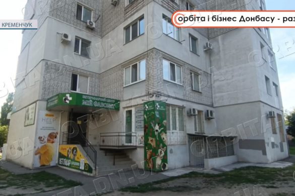 З турботою до пухнастих пацієнтів: історія релокації ветеринарної клініки з Покровська