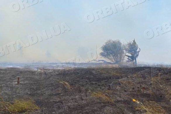 Не пали суху траву! Екологи закликають берегти від вогню флору і фауну