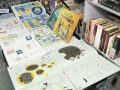Крок до здоров’я: психологи вчили ВПО протидіяти хворобам мозку