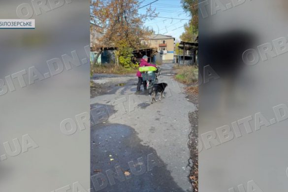 Попри війну - додому: у Білозерському більшає людей і безхатніх тварин
