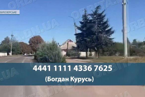 Рятує тварин біля фронту: зооволонтер Богдан Курусь возить корми і ліки до Білозерського