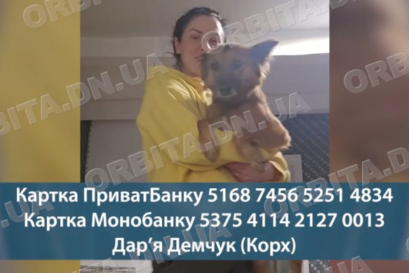 Понад 60 тварин: покровчанка Дар'я Корх облаштовує зоопритулок на Черкащині