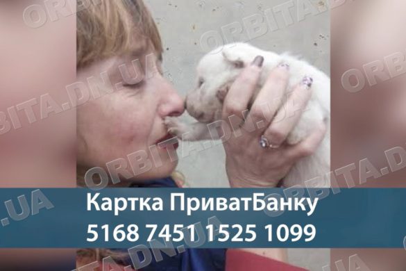 Порятунок тварин: зооволонтерка Вікторія Жидкова знову завітала до Добропілля